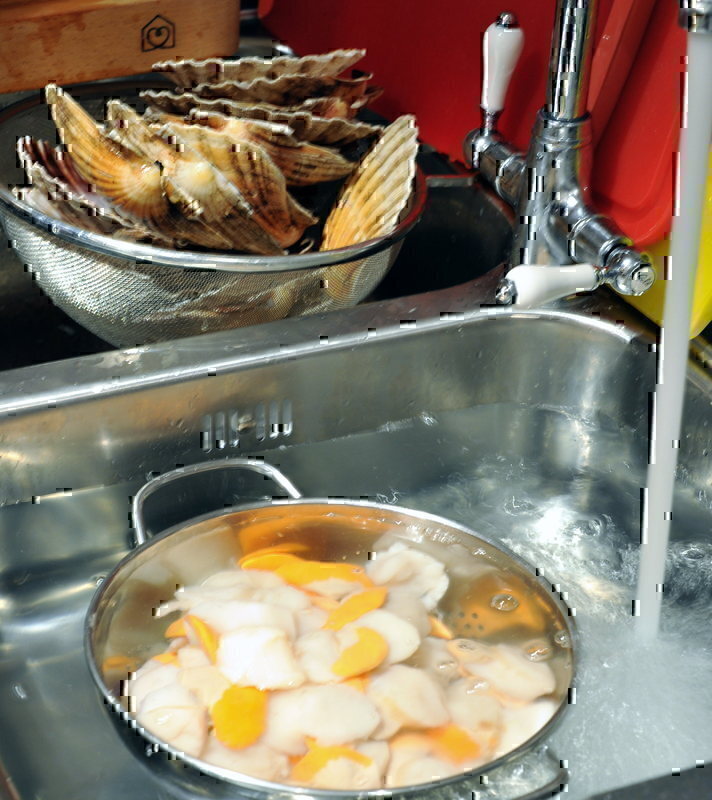 Scallops